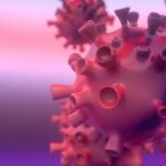 Adopsi Dan Coronavirus: Bagaimana Adopsi Berubah Dalam Pandemi?